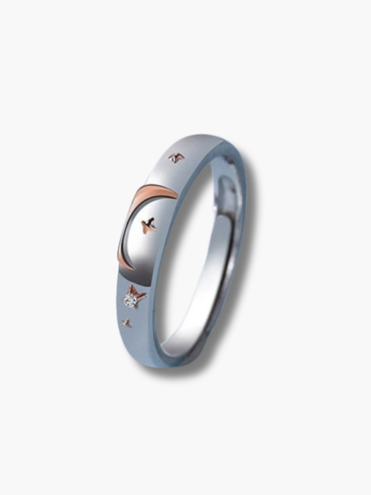 Matching Promise Rings for Couple