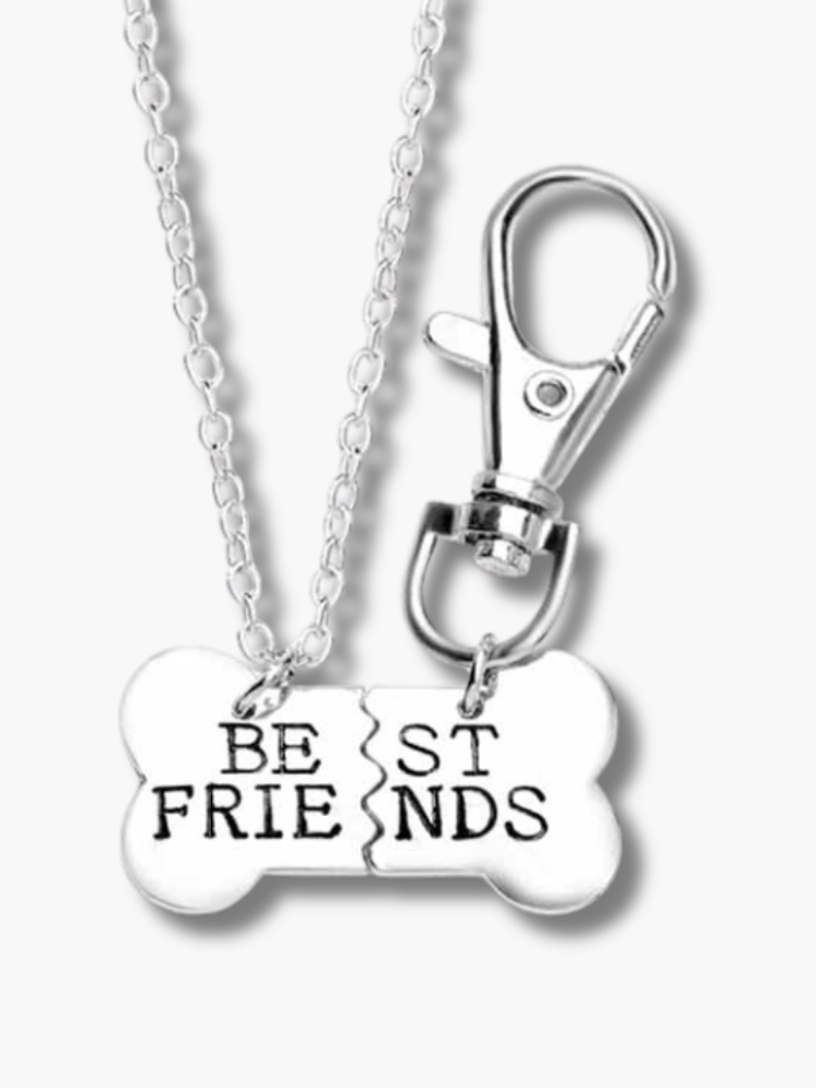 Necklace and Key Ring Friendship Set