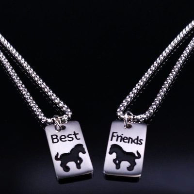 Best Friend Charm Necklaces