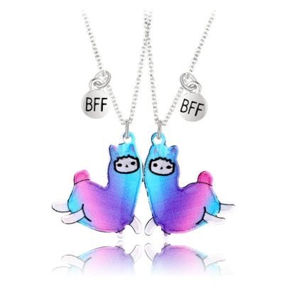 BFF Friendship Necklaces for 2